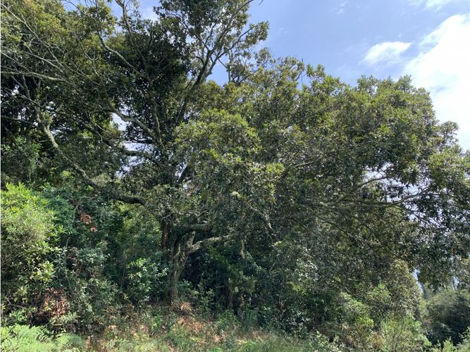 Finca en  Venta en Villa de leyva - Miniatura 20