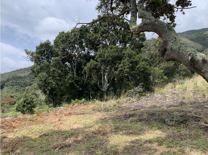 Finca en  Venta en Villa de leyva - Miniatura 21
