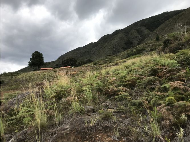 Finca en  Venta en Villa de leyva - Miniatura 23