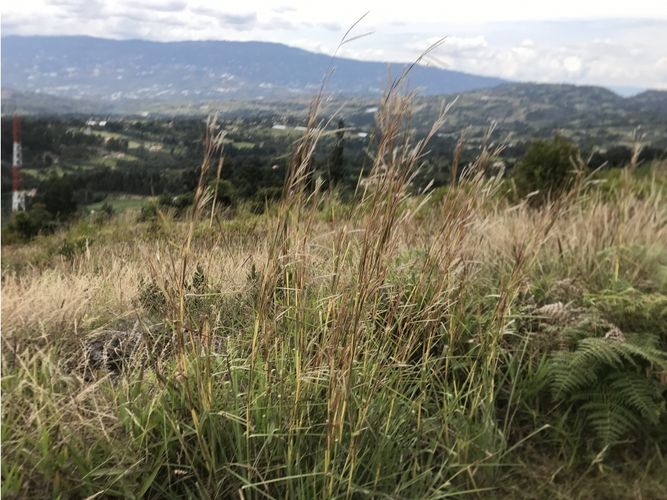 Finca en  Venta en Villa de leyva - Miniatura 24