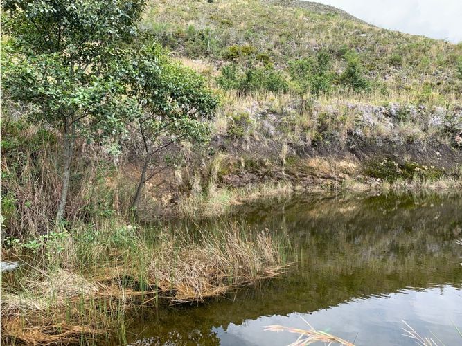Finca en  Venta en Villa de leyva - Miniatura 26