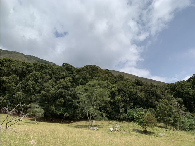 Finca en  Venta en Villa de leyva - Miniatura 29