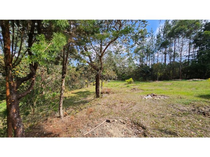 Finca en  Venta en Yolombal, Guarne - Miniatura 13