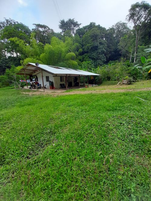 Finca en venta en Pajas blancas, Nilo - Miniatura 9