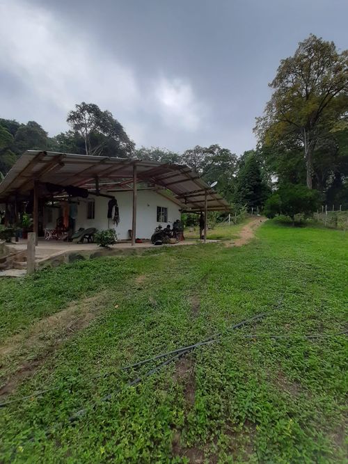 Finca en venta en Pajas blancas, Nilo - Miniatura 15