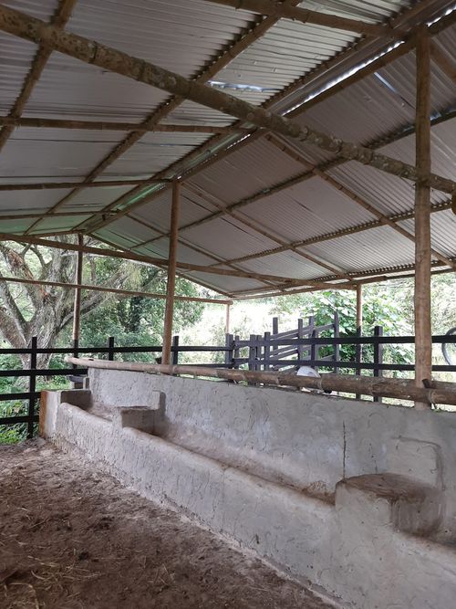 Finca en venta en Pajas blancas, Nilo - Miniatura 5
