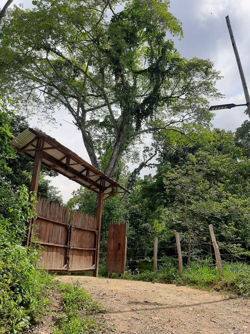 Finca en venta en Pajas blancas, Nilo - Miniatura 8