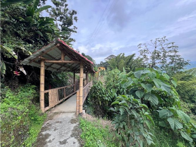 Finca en  Arriendo en Quiebra de velez, Manizales - Miniatura 23