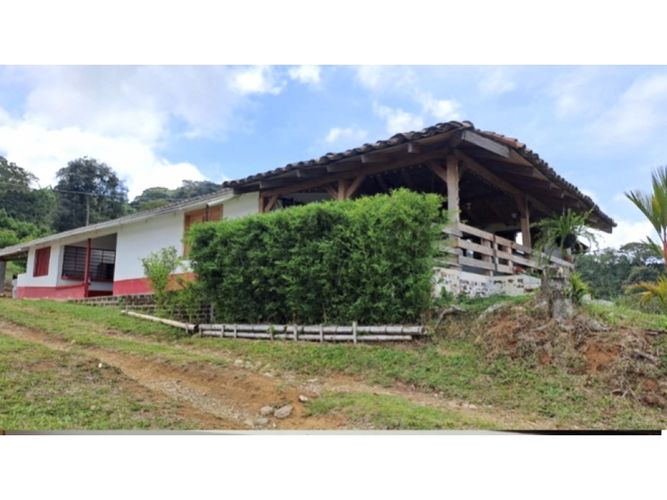 Finca en venta en La rivera, Caicedonia - Miniatura 2
