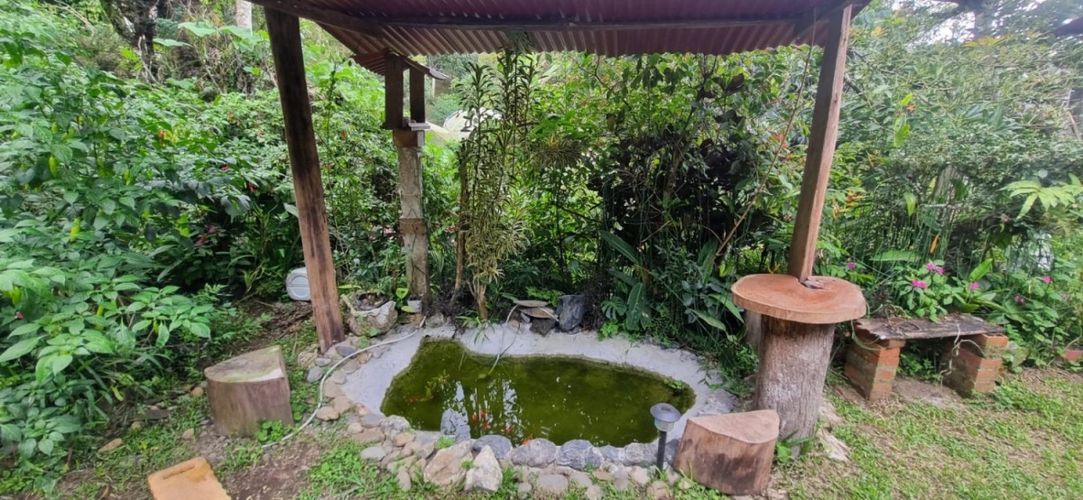 Finca en  Arriendo en Santa teresa, Filandia - Miniatura 7