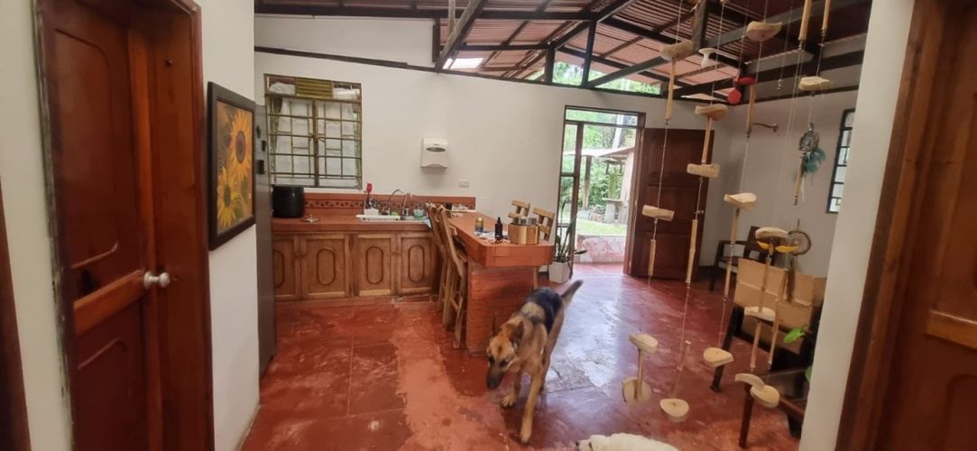 Finca en  Arriendo en Santa teresa, Filandia - Miniatura 9