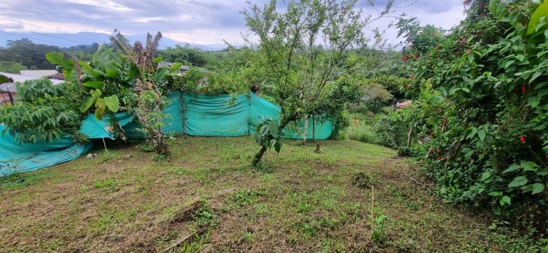 Finca en  Arriendo en Santa teresa, Filandia - Miniatura 14