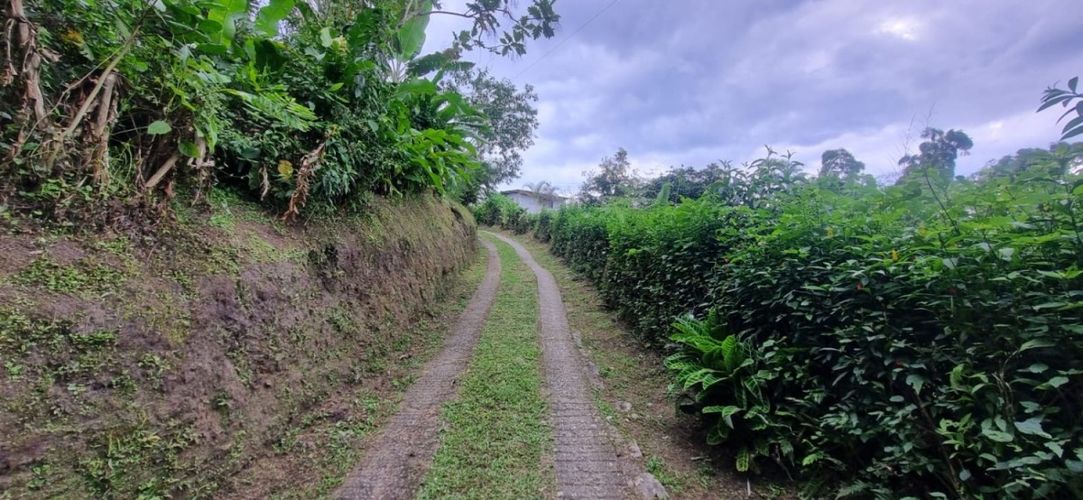Finca en  Arriendo en Santa teresa, Filandia - Miniatura 15