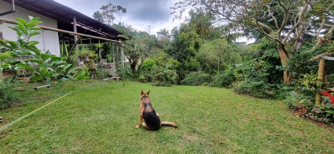 Finca en  Arriendo en Santa teresa, Filandia - Miniatura 16
