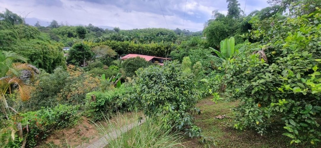 Finca en  Arriendo en Santa teresa, Filandia - Miniatura 18