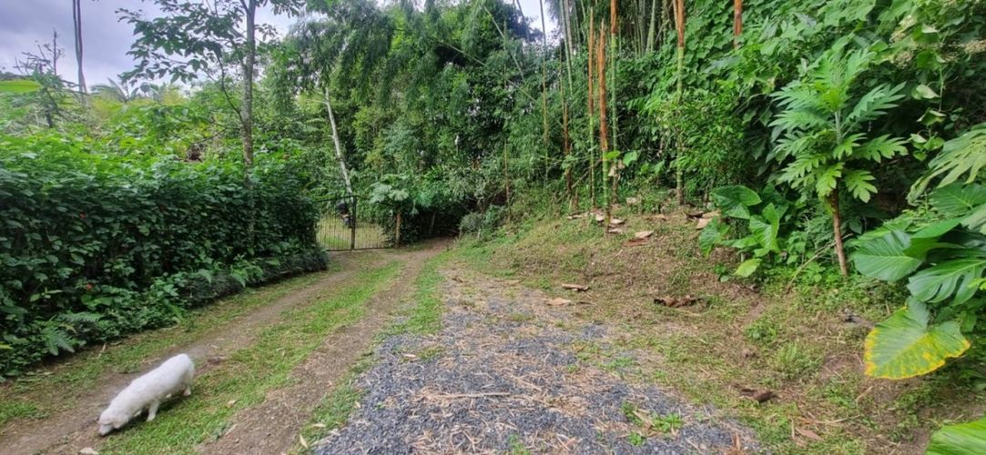 Finca en  Arriendo en Santa teresa, Filandia - Miniatura 21