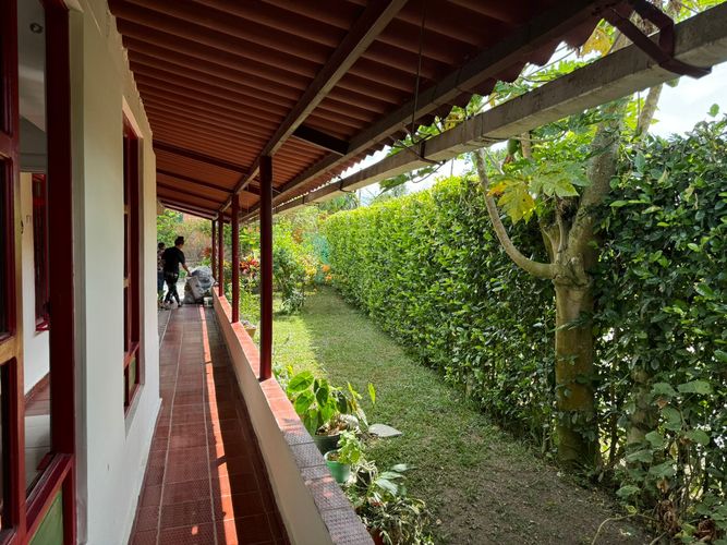 Finca en  Arriendo en Baraya, Montenegro - Miniatura 9