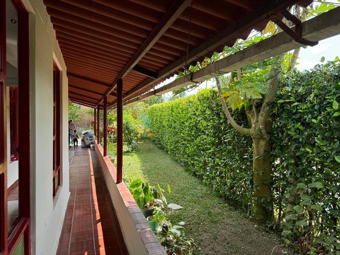 Finca en  Arriendo en Baraya, Montenegro - Miniatura 12