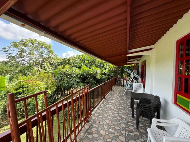 Finca en  Arriendo en Baraya, Montenegro - Miniatura 15