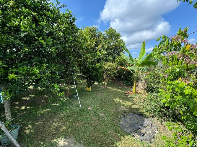 Finca en  Arriendo en Baraya, Montenegro - Miniatura 21