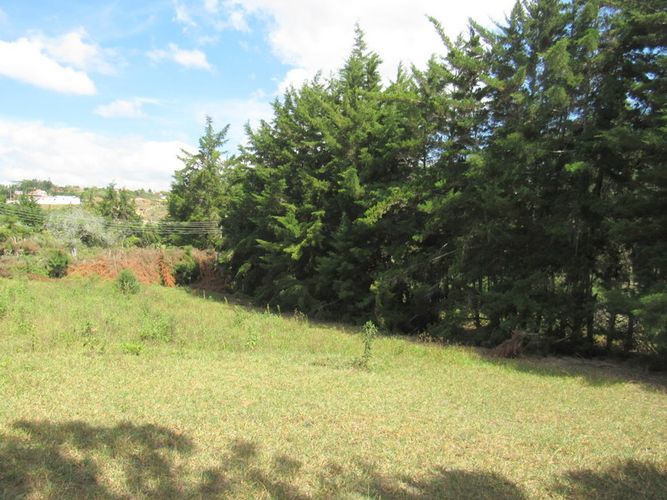 Finca en  Arriendo en El tabacal, Piedecuesta - Miniatura 8