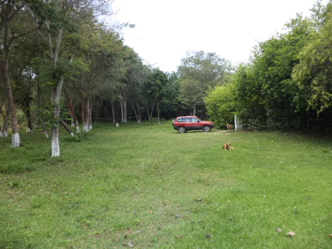 Finca en  Arriendo en Ceboruco, Melgar - Miniatura 21