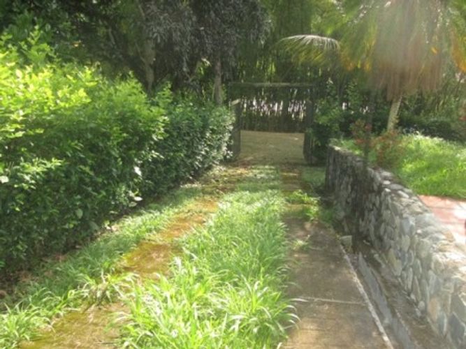 Finca en venta en Neira - Miniatura 16
