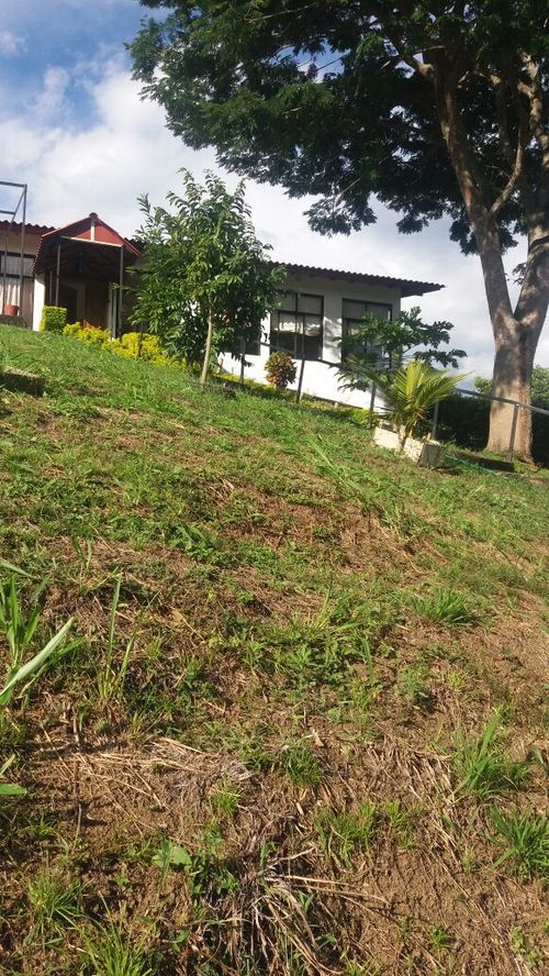Finca en venta en Neira - Miniatura 2