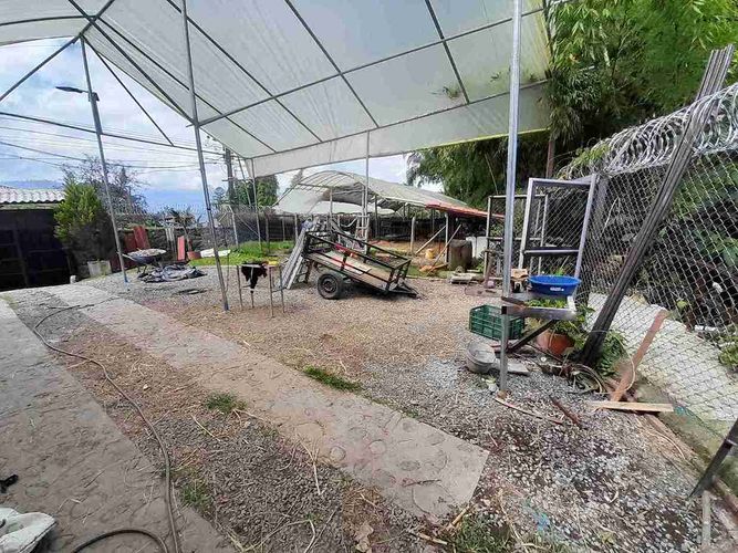Finca en venta en Av Paralela, Manizales - Miniatura 15