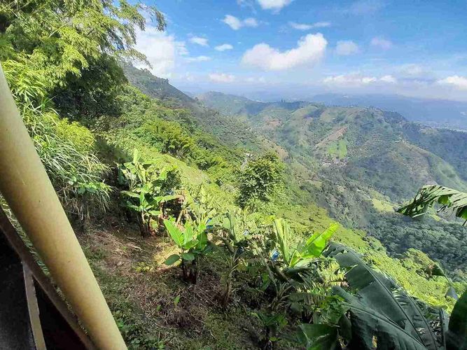 Finca en venta en Av Paralela, Manizales - Miniatura 18