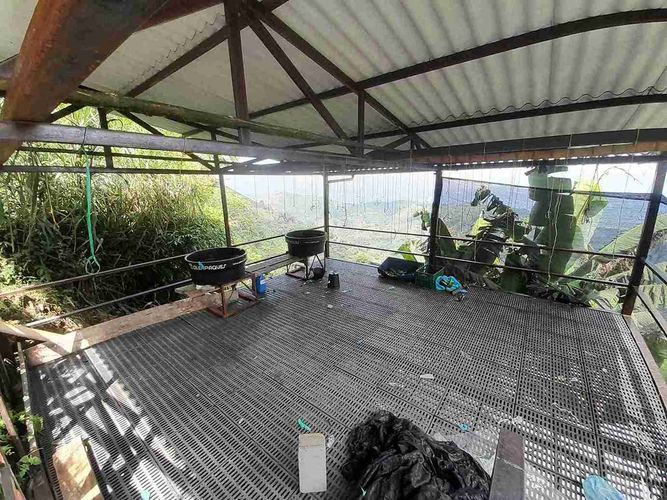 Finca en venta en Av Paralela, Manizales - Miniatura 21