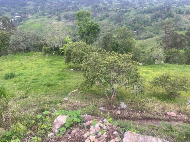 Finca en venta en Choachi - Miniatura 3