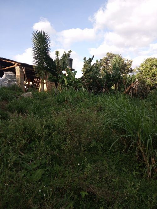 Finca en venta en Choachi - Miniatura 6