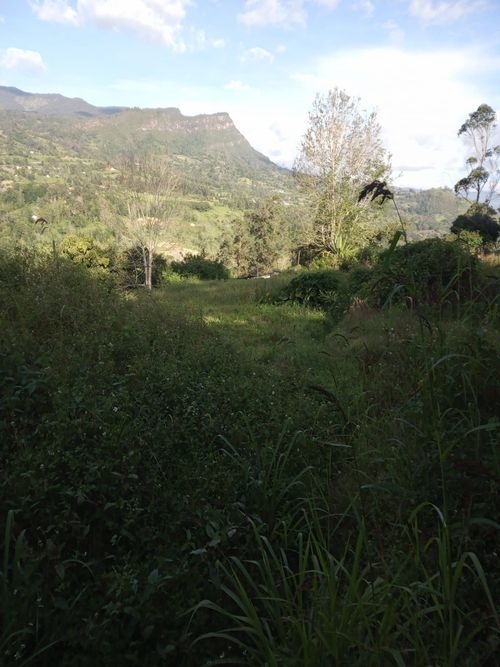 Finca en venta en Choachi - Miniatura 7