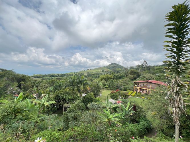 Finca en  Venta en Potrerillo, Palmira - Imagen 1