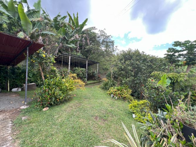 Finca en  Venta en Potrerillo, Palmira - Miniatura 4