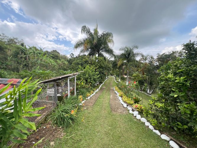 Finca en  Venta en Potrerillo, Palmira - Miniatura 6
