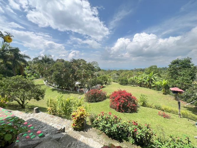 Finca en  Venta en Potrerillo, Palmira - Miniatura 8