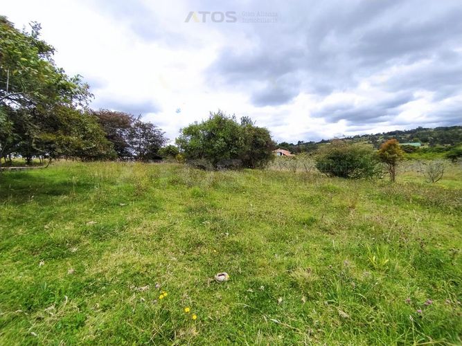 Finca en  Venta en Combita - Miniatura 5