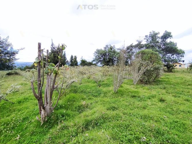 Finca en  Venta en Combita - Miniatura 12