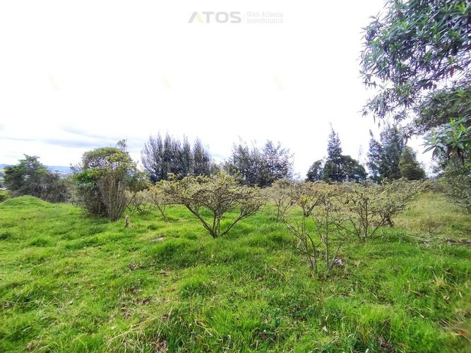 Finca en  Venta en Combita - Miniatura 14