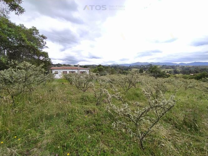 Finca en  Venta en Combita - Miniatura 15