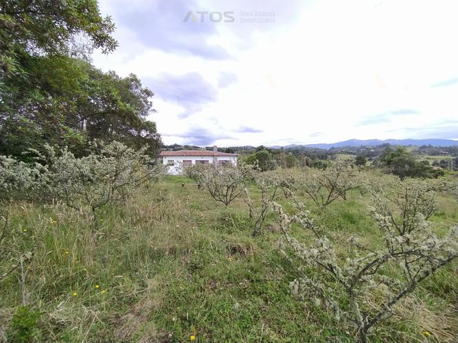 Finca en  Venta en Combita - Miniatura 16