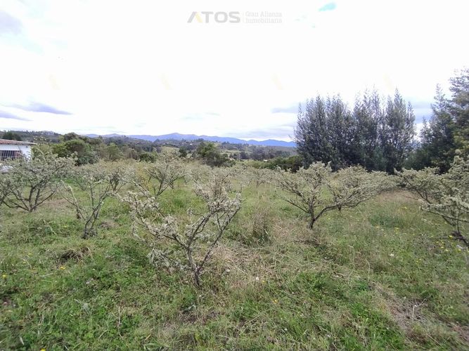 Finca en  Venta en Combita - Miniatura 21