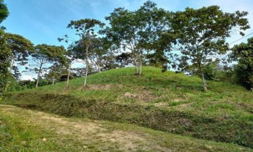 Finca en  Venta en Suaita - Imagen 1