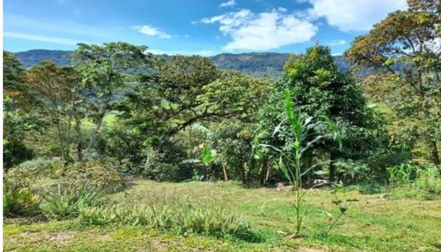 Finca en  Venta en Suaita - Miniatura 2