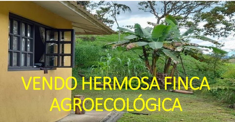 Finca en  Venta en Suaita - Miniatura 9
