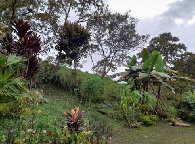 Finca en  Venta en Suaita - Miniatura 11
