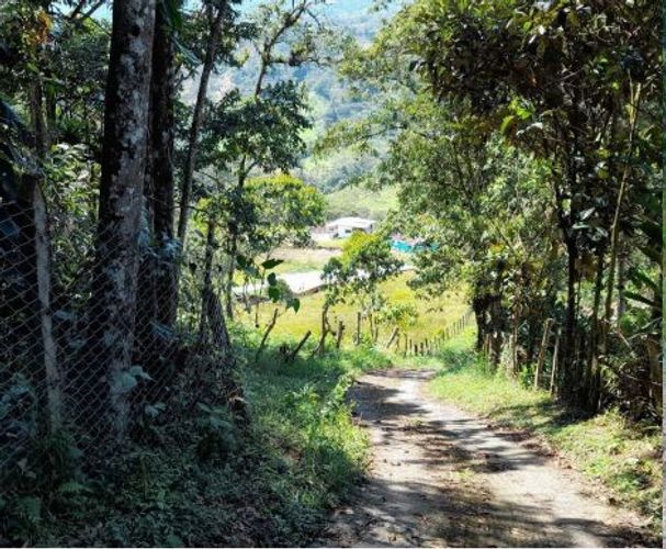 Finca en  Venta en Suaita - Miniatura 15