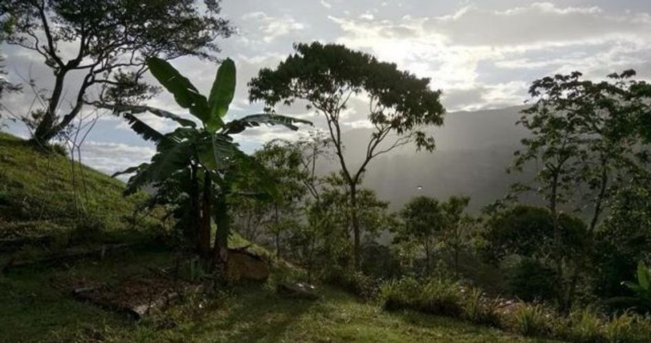 Finca en  Venta en Suaita - Miniatura 20